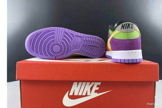 Nike Viotech (2019) Dunk Low CT5050-500 0710
